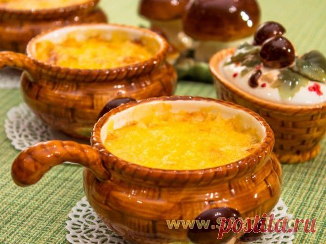 Как приготовить вкусный жюльен с курицей и грибами