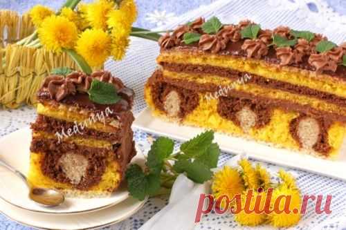 Торти / Кукорама — смачні рецепти!