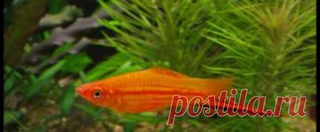 Мирный - Part 2