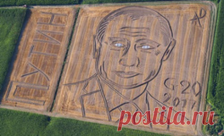 Итальянский фермер Дарио Гамбарин с помощью трактора и плуга нарисовал на своем поле гигантский портрет Владимира Путина