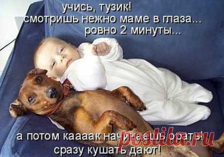 Дружбаны.