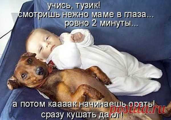 Дружбаны.