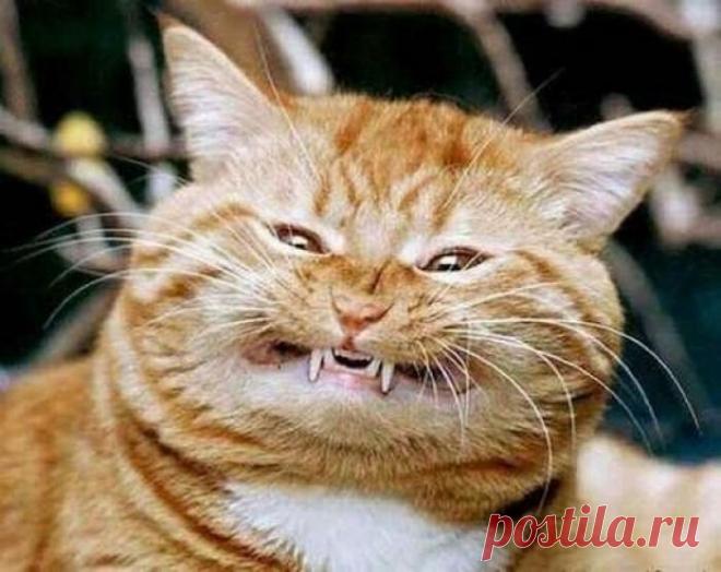 Когда тебя я вижу - всегда улыбаюсь!