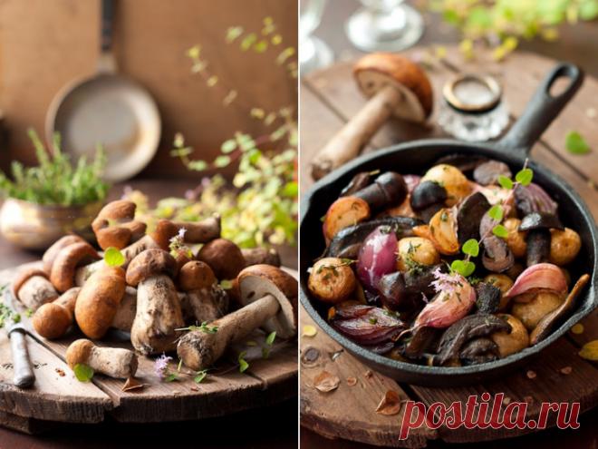 Как правильно готовить грибы простой рецепт | Colors.life