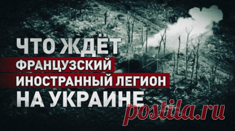 «Необходимо отрезветь»: бойцы «Ахмата» — о планах Франции отправить Иностранный легион в ДНР. Российские военные ударили по месту дислокации французских наёмников в подконтрольном Украине Славянске (ДНР), сообщили в СМИ. Ведутся разговоры, что для помощи украинским войскам в обороне города Париж направит Иностранный легион. Военкор RT Саргон Хадая побывал на позициях спецназа «Ахмат», который работает в этом районе и продвигается на Артёмовском направлении. По словам командира подразделения…