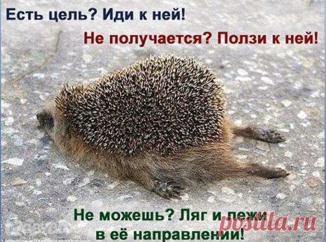 100kursov.com | Татьяна Вильман