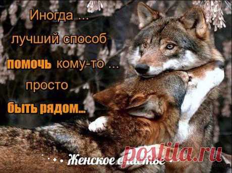 любовь измеряется мерой прощения,
А дружба-уменьем понять.
Достойными кажутся мне восхищения
Те люди, что могут прощать.
Простить и забыть все обиды и горести,
Сумев улыбнуться в ответ на удар,
Простить до конца, без оглядки и полностью
О боли не вспомнить уже никогда.
Друзья познаются в беде,а не в радости,
Они не способны на подлость и ложь,
В минуту отчаянья, горя иль слабости
Подставят плечо,не воткнув в спину нож.