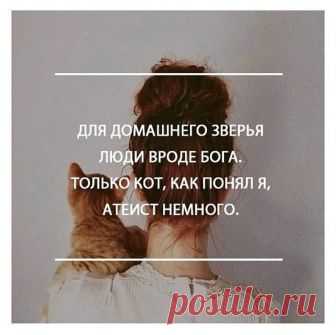 (6) Фитхакер - Публикации