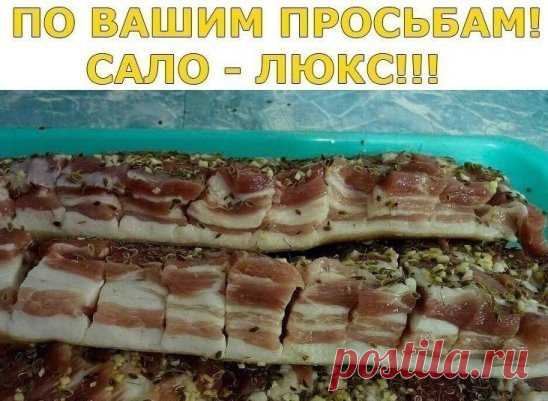 ПО ВАШИМ ПРОСЬБАМ!
САЛО - ЛЮКС!!!
На литр воды один стакан (200г) - соли и половина такого стакана сахара , лавр. лист (не жалеть!), перец горошек , довести до кипения и остудить . Вот этим рассолом залить сало(1-2 кг). Сало можно сразу пересыпать чесноком. День стоит дома потом в холодильник примерно на сутки. Потом выложить на полотенце чтоб рассол сбежал. Можете добавлять по
вкусу свои приправы. Такой посол очень вкусный. Поверьте сахар не ощущается. Приятного аппетита!!!