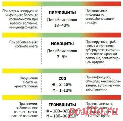 Интересные новости