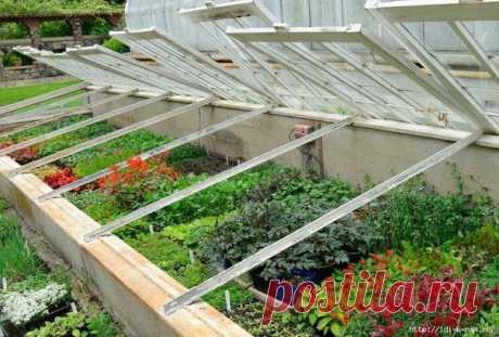 Парничок из старых оконных рам]