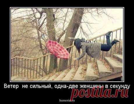 Дул легкий весенний ветерок...))