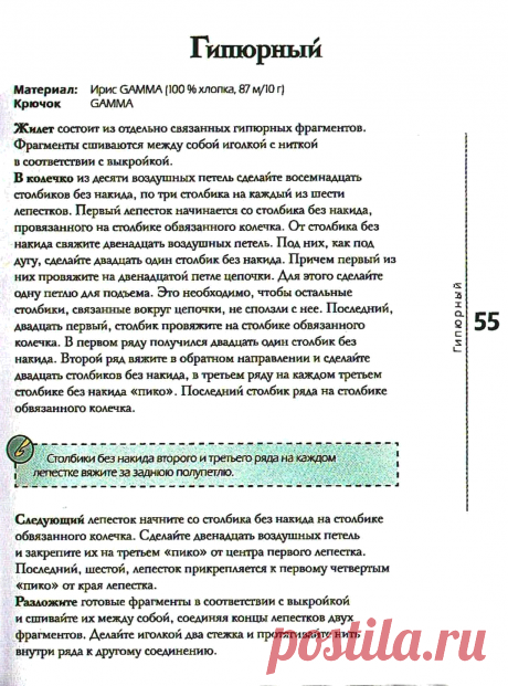 img.php (1074×1450)