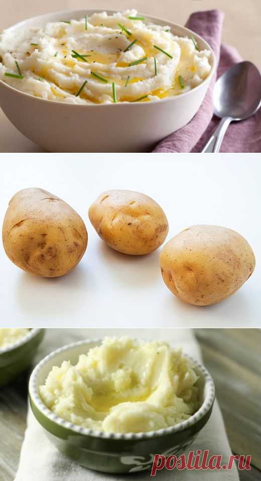 Как приготовить идеальное картофельное пюре | Четыре вкуса