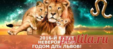 2016-й будет невероятным годом для Львов!