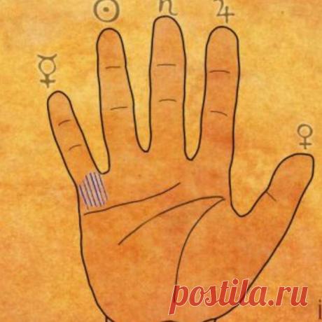5 знаков на ладонях, говорящие о том, что вы - истинный целитель - Сонники, гороскопы, гадания - медиаплатформа МирТесен Под словом целитель мы не обязательно подразумеваем человека, который лечит с помощью рук или силы мысли. Нет, мы сейчас говорим про такое призвание, как нести добро, свет и помощь людям. Это делают доктора, травники и, да, действительно целители, которые лечат с помощью рук, обрядов, силы воли или