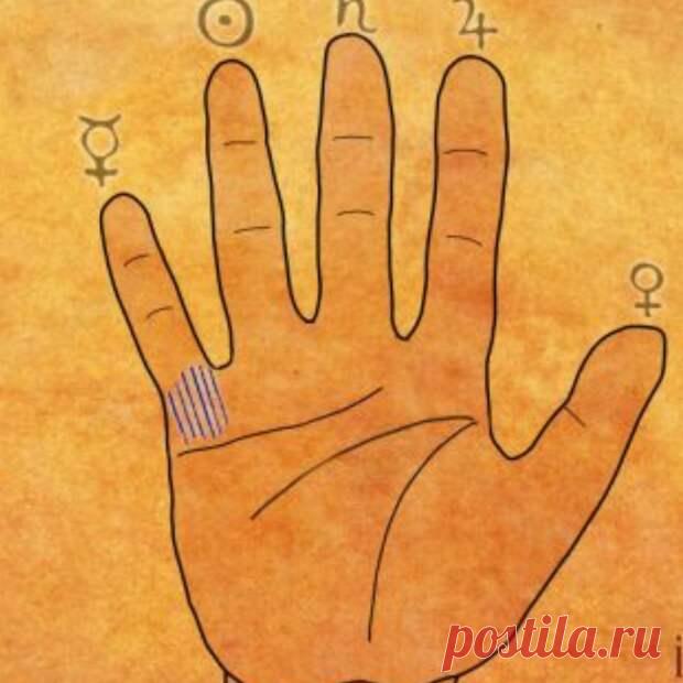 5 знаков на ладонях, говорящие о том, что вы - истинный целитель - Сонники, гороскопы, гадания - медиаплатформа МирТесен Под словом целитель мы не обязательно подразумеваем человека, который лечит с помощью рук или силы мысли. Нет, мы сейчас говорим про такое призвание, как нести добро, свет и помощь людям. Это делают доктора, травники и, да, действительно целители, которые лечат с помощью рук, обрядов, силы воли или