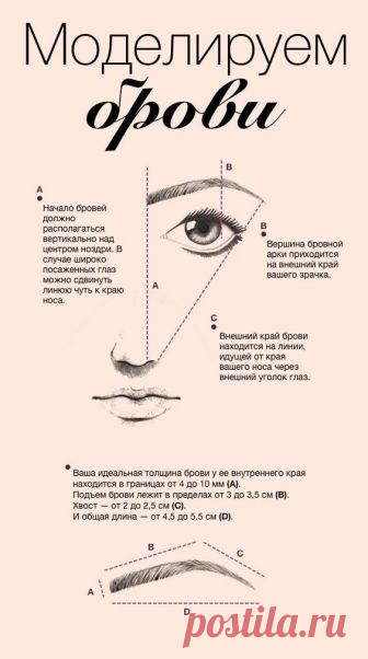 (444) Pinterest