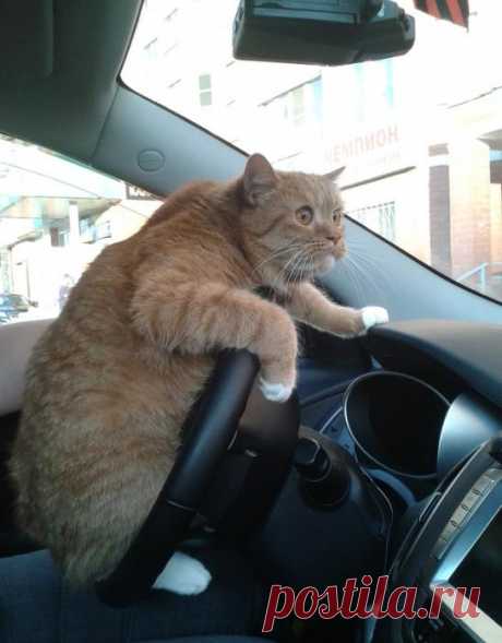 Право руля!