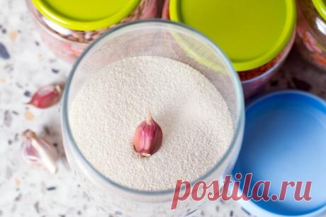 Как уберечь продукты от пищевой моли и жучков / Меню недели