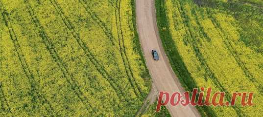 В рамках нашего совместного проекта «Пересекая земли», мы с Volvo отправились в природу неописуемой красоты на северо-западе Белоруссии – а спутниками путешествия стали Volvo V90 Cross Country и Volvo XC90. Рассказываем и показываем, что там можно увидеть.
