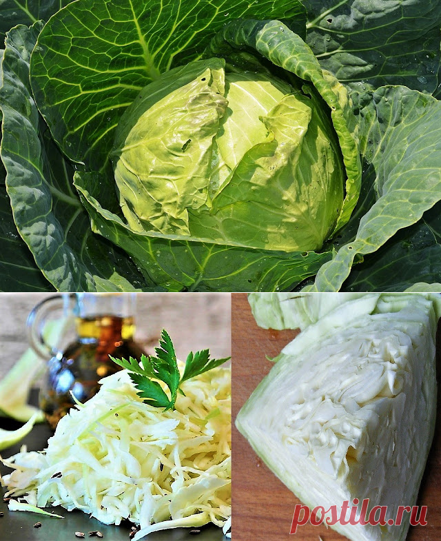 Easy Recipe