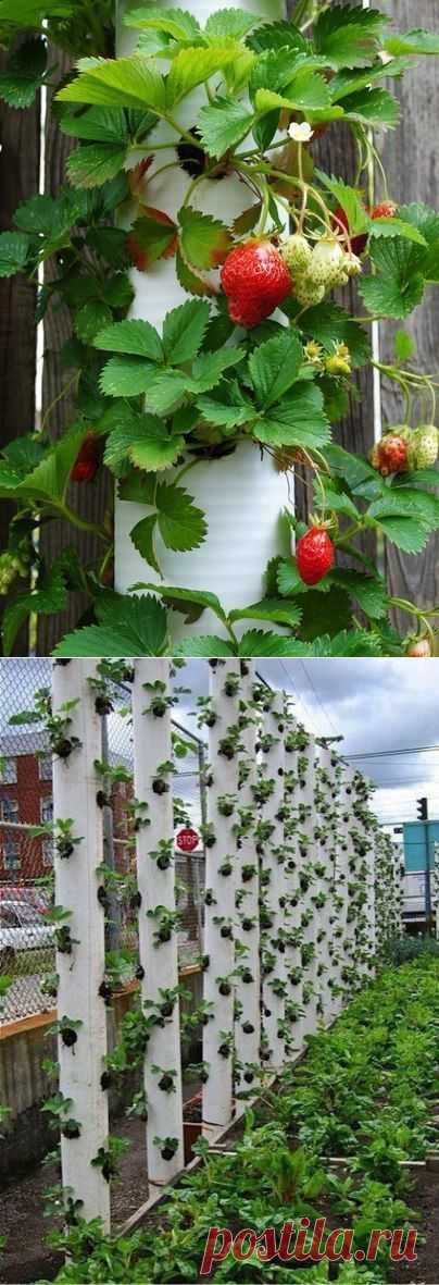 Как сделать вертикальную грядку