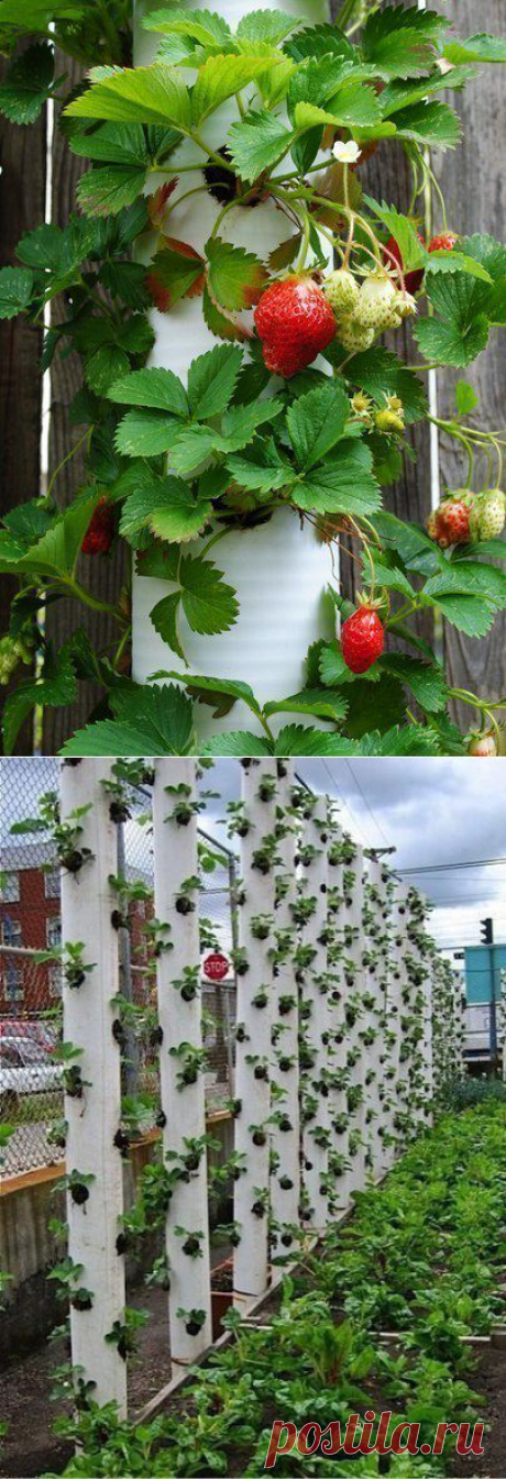 Как сделать вертикальную грядку