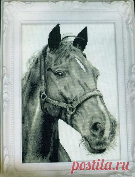 Вышивка лошадь схема. Вышивка крестом лошади схемы  |