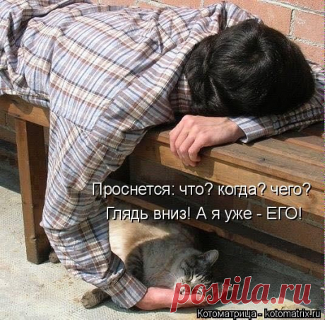 Котоматрица: Лучшие за прошлую неделю