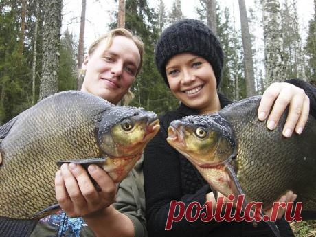 Лучшие насадки для крупного леща – Рыбалке.нет