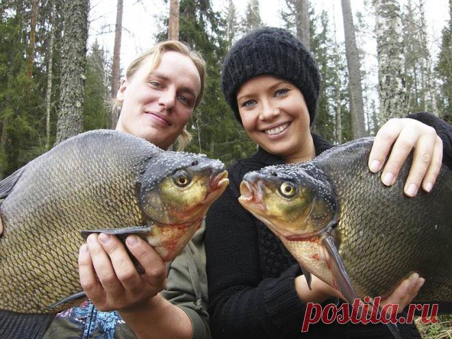 Лучшие насадки для крупного леща – Рыбалке.нет