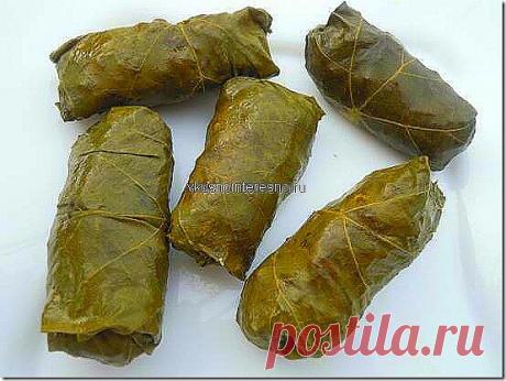 Долма. Рецепт долмы. Как правильно готовить долму | Вкусно приготовить самим