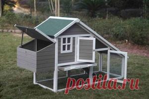 Курятник на 10 кур, построенный своими руками: чертеж, планировка и строительство