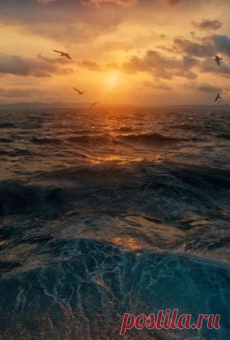 letslookingattheworldstuff:
“Sunset by Ivan Borovkov
”