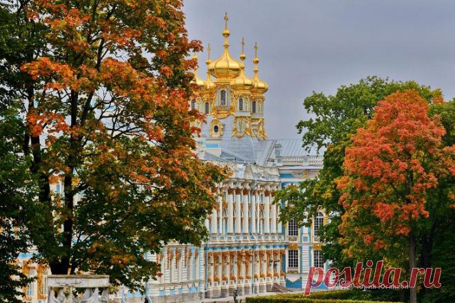 Золото осенних красок в невероятно атмосферном Царском Селе