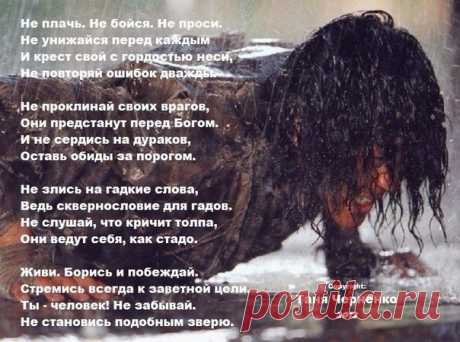 Стихи