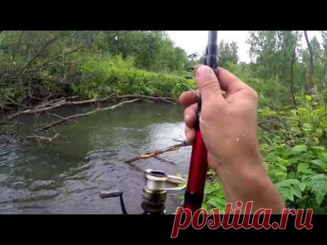 Ловля Хариуса на удочку  - Август 2018 ( по новой тропе вверх по реке)