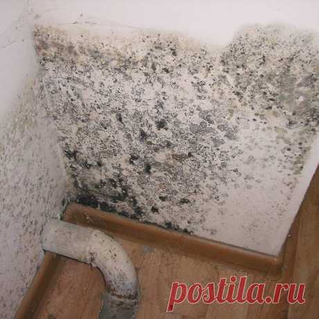 🧼 Клининговые услуги по уборке квартир, офисов, технических помещений
🔟 Большой опыт работ 🙇 Ответственность за порчу 💝 Приятные цены
🌍 Работаем по всей Москве и Московской области 📞 +7(969)022-34-60