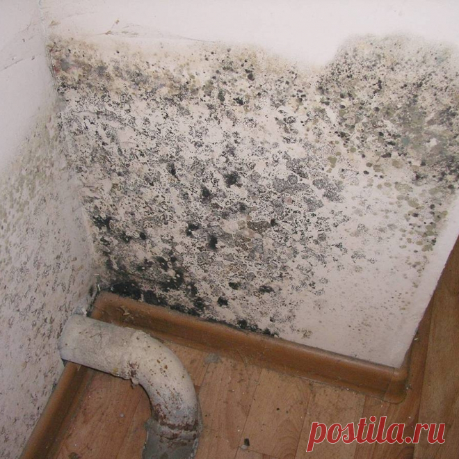 🧼 Клининговые услуги по уборке квартир, офисов, технических помещений
🔟 Большой опыт работ 🙇 Ответственность за порчу 💝 Приятные цены
🌍 Работаем по всей Москве и Московской области 📞 +7(969)022-34-60