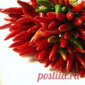 От артрита - лучшая защита