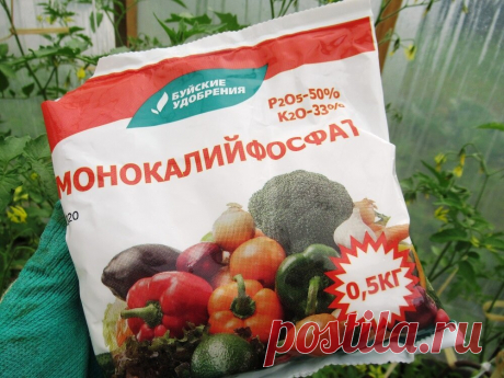 Монофосфаткалия удобрение для урожайного огорода, как использую и для каких культур поделюсь секретом | Дача ягодки цветочки | Яндекс Дзен