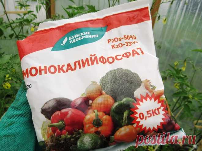 Монофосфаткалия удобрение для урожайного огорода, как использую и для каких культур поделюсь секретом | Дача ягодки цветочки | Яндекс Дзен