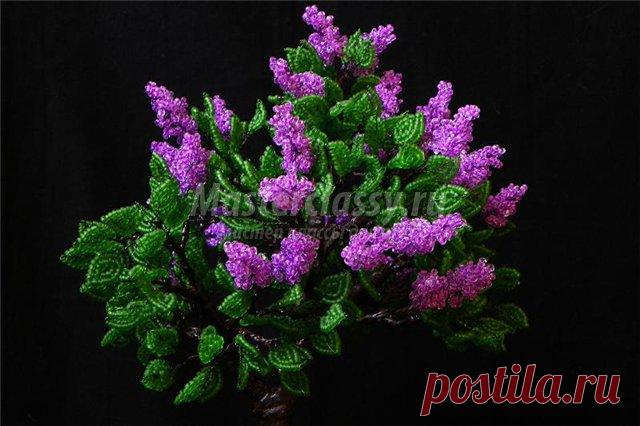 Мастер класс цветов из бисера, цветок из бисера мастер класс, цветы из бисера - мастер класс