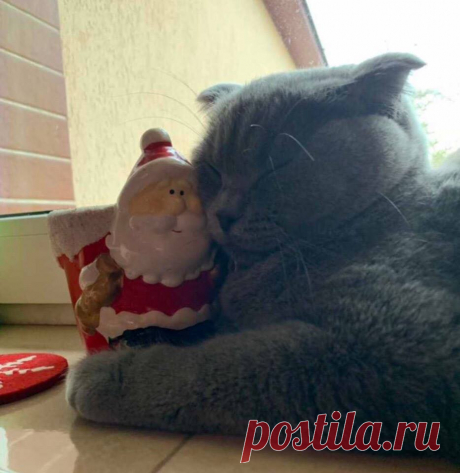 Когда не хочется отпускать новогодние праздники