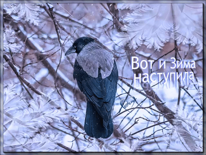Вот и зима наступила ⋆ Открытки анимация