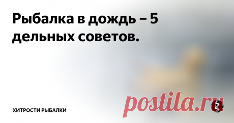 Рыбалка в дождь – 5 дельных советов.  1. Если перед дождем погода была жаркая – клев обеспечен. Дождь остудит нагревшуюся воду, наполнит ее кислородом и спровоцирует активность клева. Если же было прохладно – клева не будет.
2. Немаловажную роль играет мутность воды. Вода немного поменяла цвет, стала менее прозрачной – клев будет хороший. Помутнела сильно – рыбалку лучше отложить.
3. Место для рыбалки не должно быть ветреным. Выбирайт