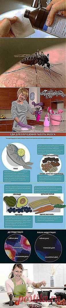 Вера Продиус(Сырбу): Разное | Постила