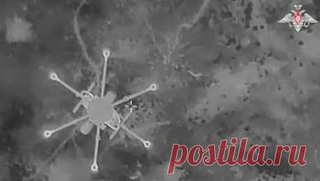 Российские военные обезвредили дрон ВСУ с помощью сети. Минобороны РФ опубликовало в Telegram-канале кадры из Курской области, на которых российские военные обезвреживают беспилотник &quot;Баба-яга&quot; ВСУ, сбросив на него сеть. &quot;На кадрах объективного контроля – обезвреживание ...