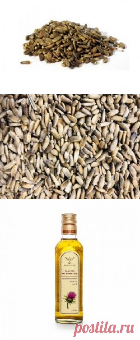 Семена расторопши купить в Москве | Шеф Орех - интернет-магазин орехов и сухофруктов.